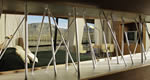 Design Suites Calafate