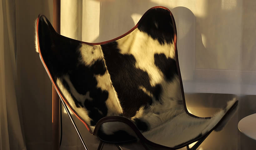 Design Suites Salta