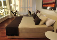 Design Suites Salta